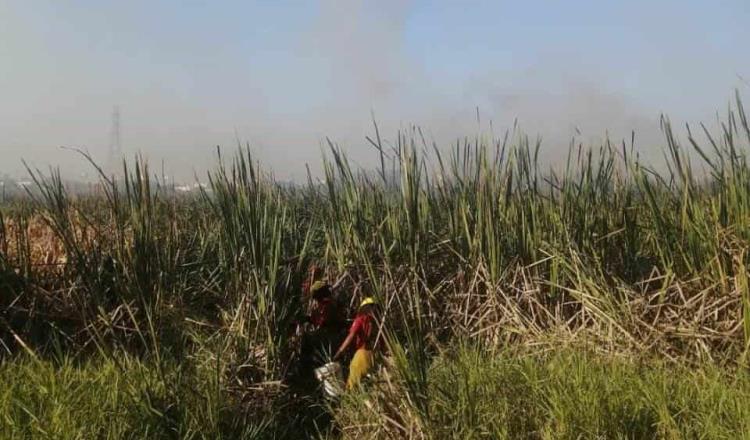 Se mantienen incendios en Tabasco por debajo de lo registrado en marzo de 2020