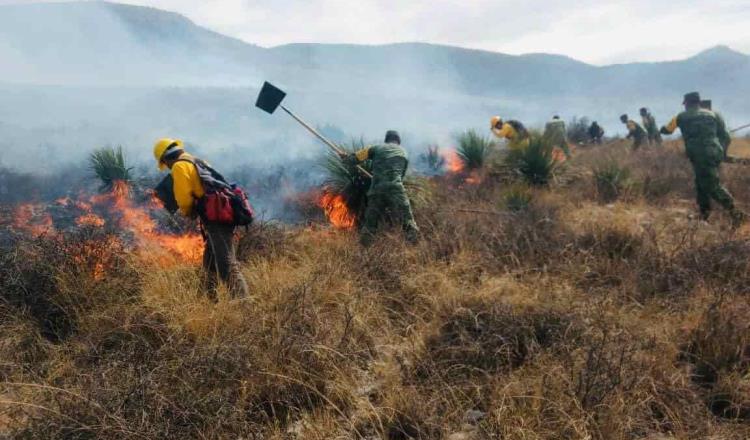 15 años de cárcel podrían alcanzar responsables de incendio en sierra de Coahuila y NL 