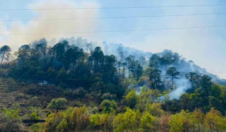 Reporta CONAFOR 91 incendios forestales activos en 22 entidades del País; Guerrero mantiene el mayor número de casos