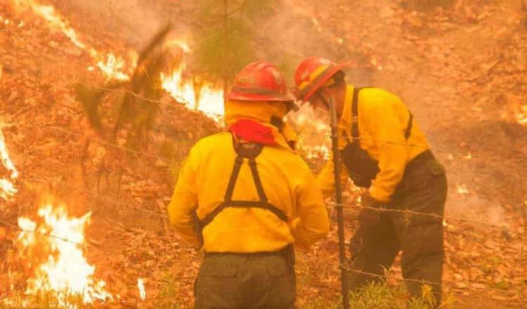 Emiten declaratoria de emergencia en NL por incendios forestales