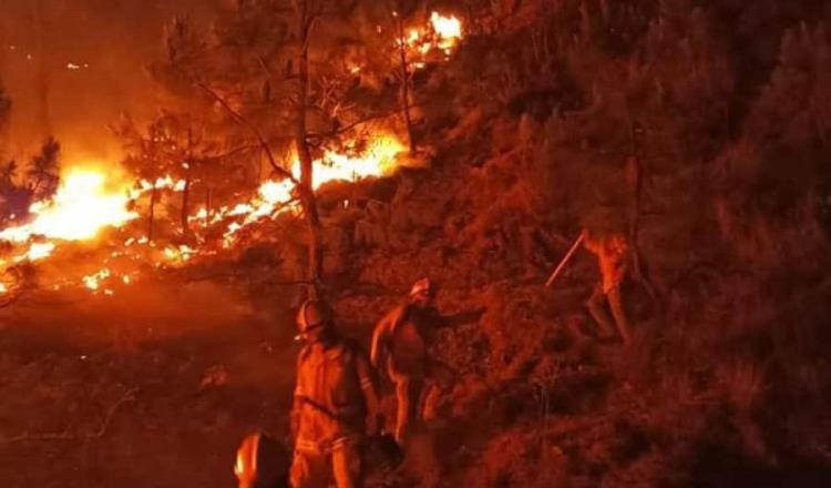 Reportan en Jalisco controlado el incendio forestal en área protegida “Bosque La Primavera”