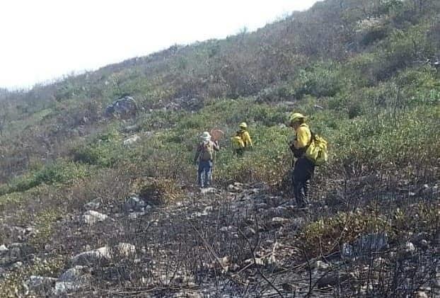 Controlan incendio forestal en San Antonio Tancoyol, Querétaro