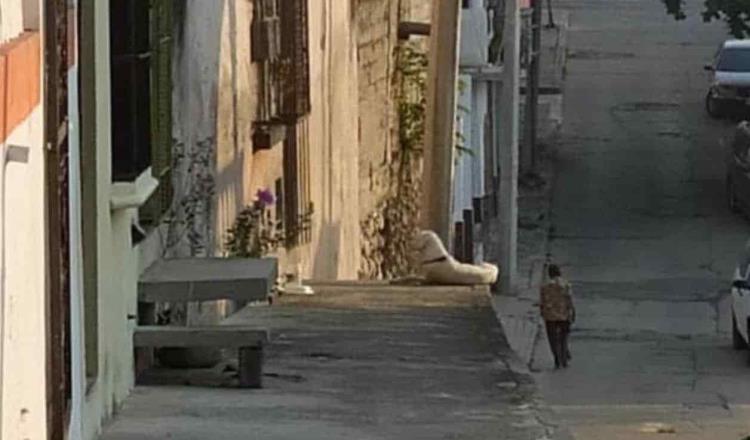 Perro espera día y noche a que le abran la puerta de lo que era su hogar, denuncian ciudadanos