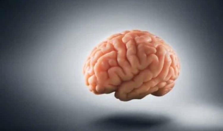 Estudio sugiere que COVID reduce materia gris del cerebro