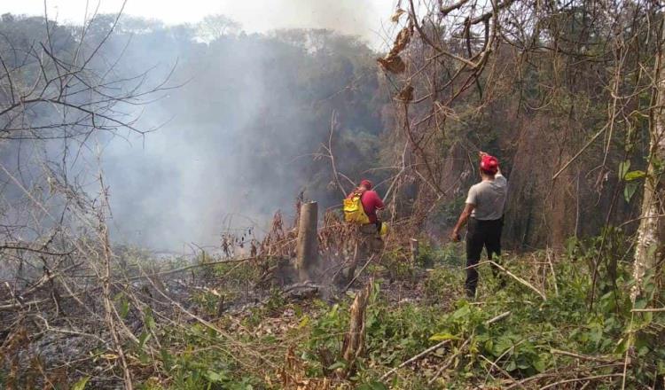 Contabiliza Protección Civil cerca de 700 incendios de pastizales en Tabasco en lo que va del año