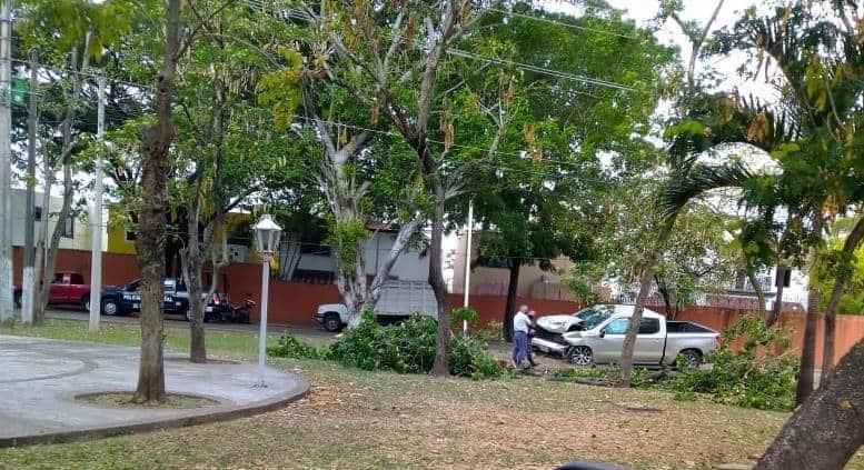 Conductor se duerme al volante y choca contra un árbol… en Villahermosa