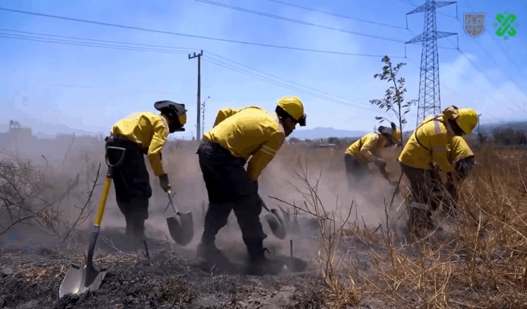 Reportan a la CDMX en estado de emergencia… por incendios y seca