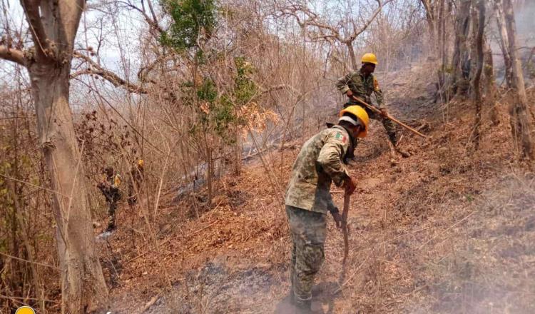 En situación de emergencia se encuentra Guerrero por incendios forestales activos: Gobierno