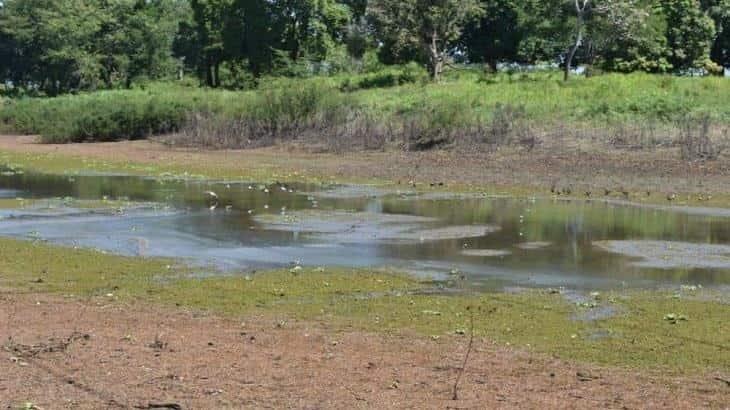 Reporta Conagua que 85% del territorio nacional tiene alguna condición de sequía 