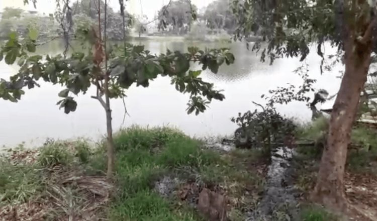 Fuga de aguas negras llega a la laguna de las Ilusiones desde fraccionamiento Bosques de Villahermosa