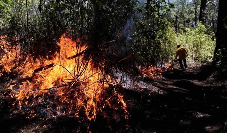Van 4 mil 676 incendios forestales en México: CONAFOR 