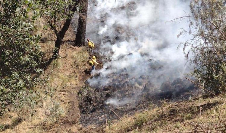 Contabilizan 52 incendios forestales activos en 16 estados del país