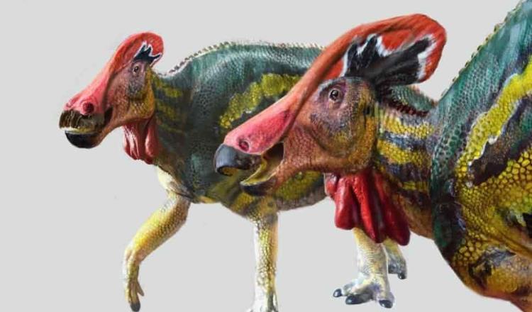 Identifica el INAH nueva especie de dinosaurio encontrado en Coahuila 