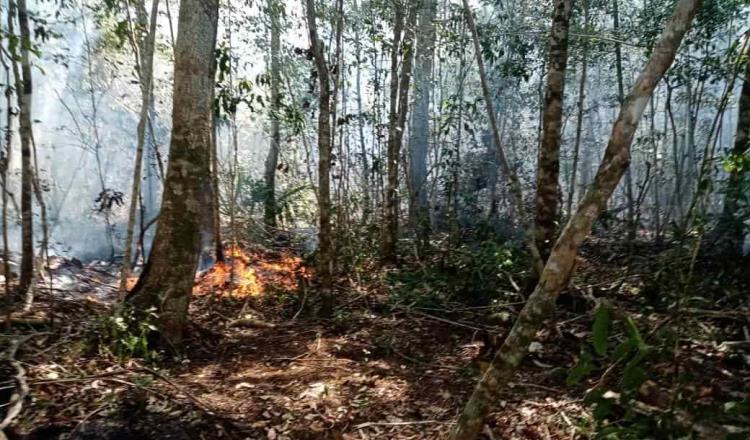 Reporta CONAFOR 23 incendios forestales activos en 9 estados del país
