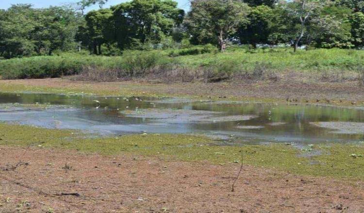 Reporta CONAGUA 75.5% del territorio nacional afectado por la sequía