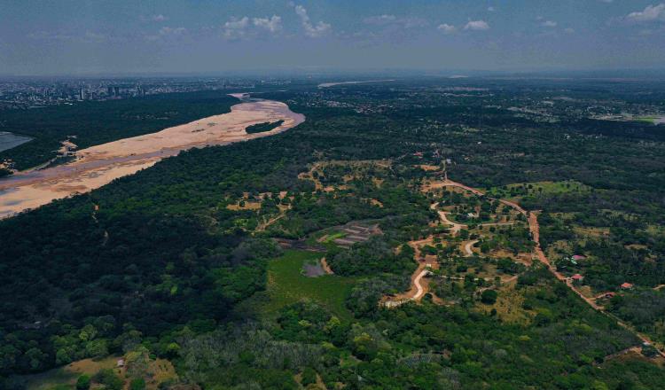 Prevén científicos graves incendios en el Amazonas este 2021