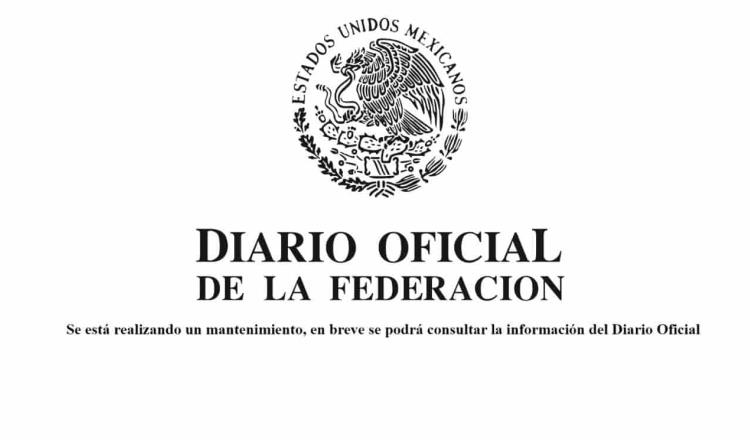 Dan mantenimiento al portal web del Diario Oficial de la Federación