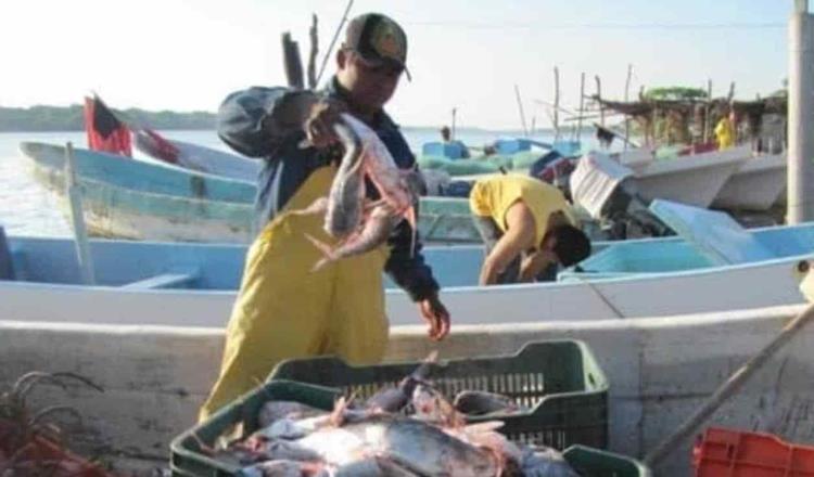 Demandan pescadores tabasqueños apoyo de gasolina para combatir crisis