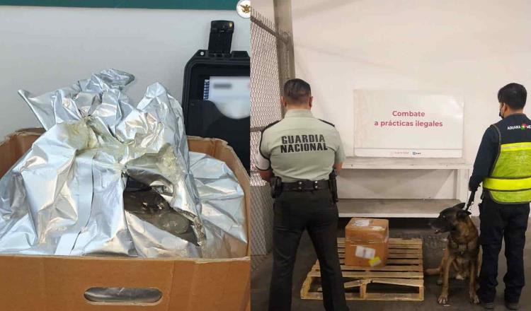 Asegura GN 23 kilos de fentanilo procedente de Hong Kong, en aduana de Tijuana