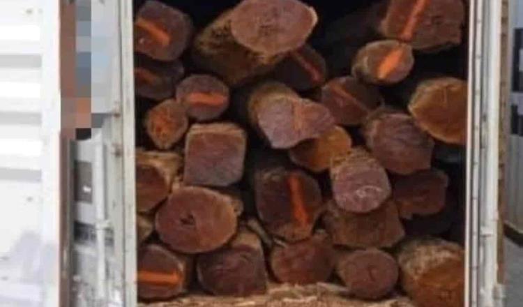Asegura FGR 27 contenedores con madera; pretendía ser exportada ilegalmente a China