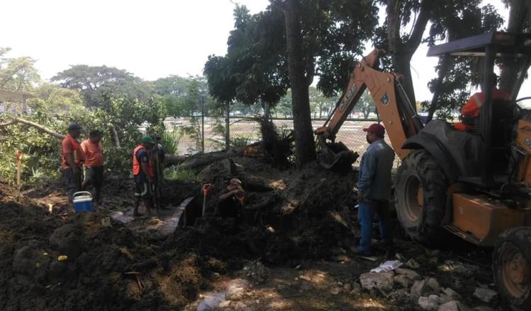 Repara SAS fuga provocada por caída de árbol en Villahermosa