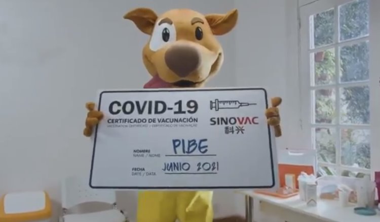 Conmebol contabiliza 166 contagios de COVID durante la Copa América