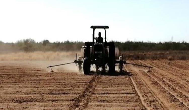 Destinará Sader apoyo de 299 mdp a productores por sequía en México