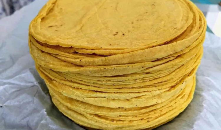 Podría AMLO abrir importación de maíz para controlar alza del precio de la tortilla