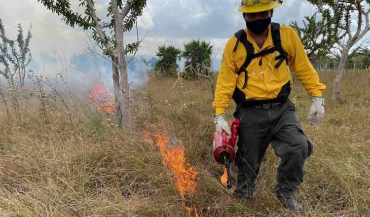 Contabiliza Conafor más de 6 mil 200 incendios forestales en el país en lo que va del año