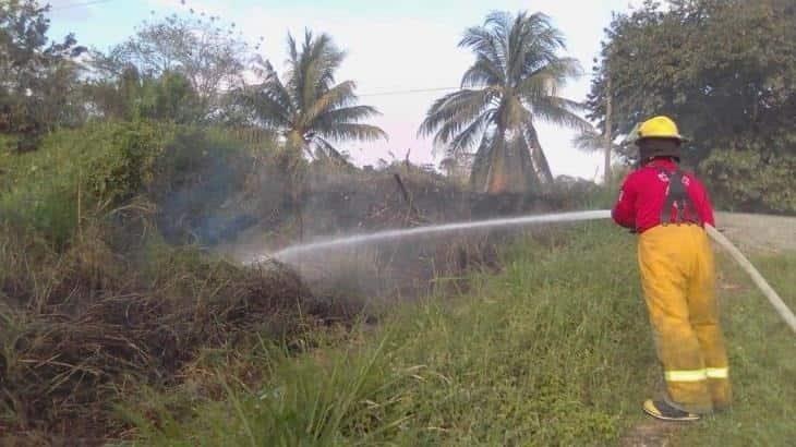 Más de 800 incendios se han registrado en Tabasco en el año; son menos que en otros años: PC