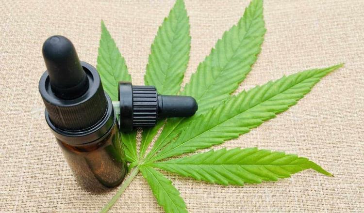 Publica SCJN fallo que avala la despenalización del uso lúdico y recreativo de la marihuana