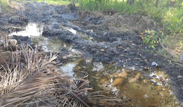 Tabasco, el que más quejas por daños ambientales interpone ante la ASEA: Ángel Carrizales