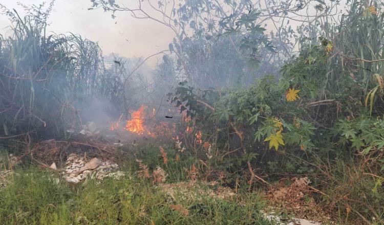 Se registra incendio en popales de la colonia Espejo I