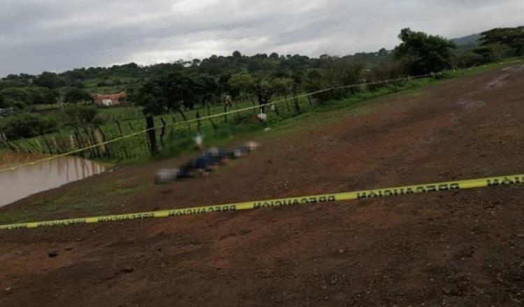 Hallan cinco cuerpos abandonados en Tangamandapio, Michoacán, con huellas de tortura