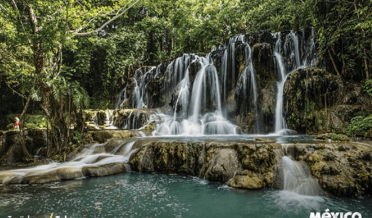 Reconoce CERTT que el Parque Natural Villa Luz invade propiedad privada