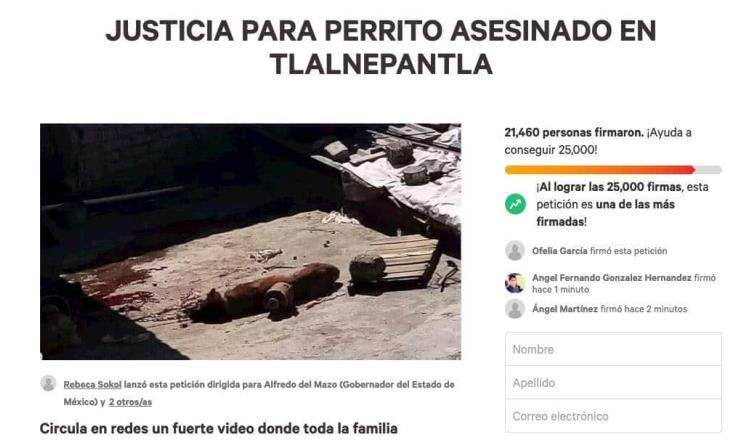 Piden firmas en Change.org para que hagan justicia a perrito acuchillado en Tlalnepantla