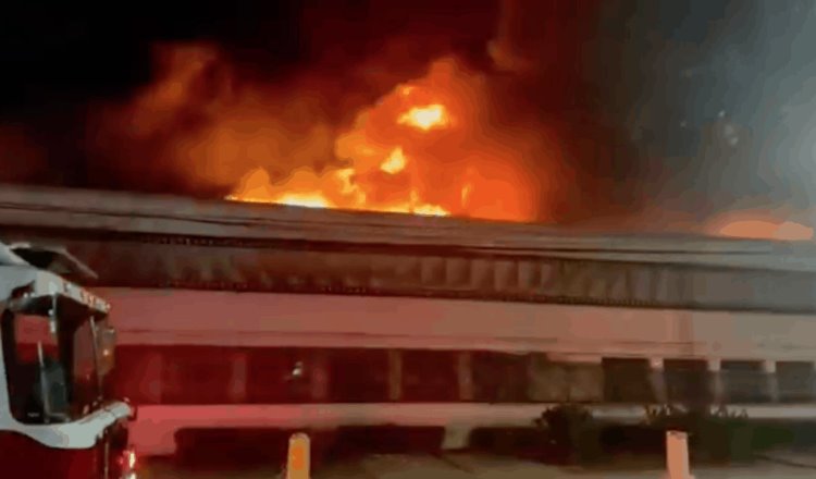 Se incendia cinemateca en Brasil