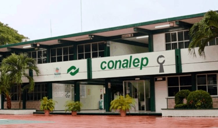 Clases en CONALEP Tabasco seguirán híbridas y de manera escalonada: Vega Celorio