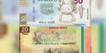 Dicen adiós Juárez y Morelos; así será nuevos billetes de 20 y 50 pesos