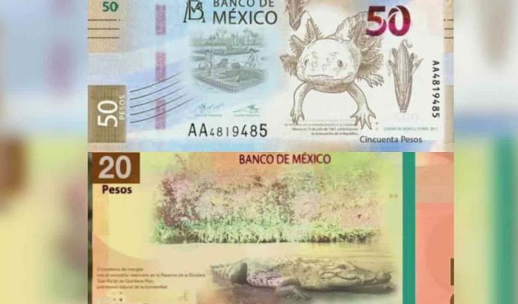 Dirían adiós Juárez y Morelos a los nuevos billetes de 20 y 50 pesos