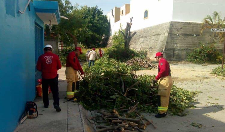 Despliega Ayuntamiento de Centro cuadrillas de atención en colonias afectadas por rachas de viento