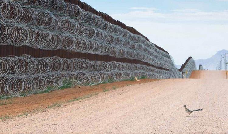 Mexicano Alejandro Prieto gana el premio ‘Fotógrafo de Aves del Año” por la imagen de un correcaminos frente al muro fronterizo