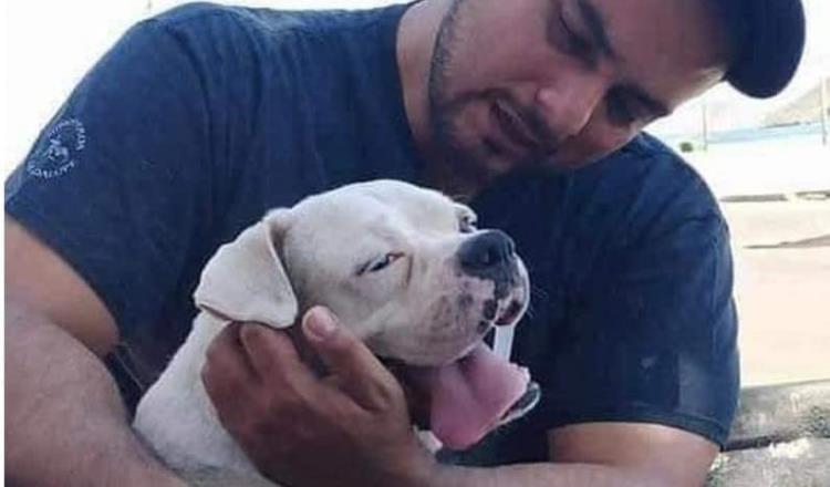 Hombre se despide de su perro antes de que se le aplicara la eutanasia por cáncer terminal