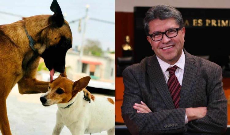 Propone Ricardo Monreal elevar a rango constitucional protección a animales