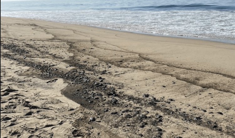 Derrame de crudo en costas de California causa desastre ambiental