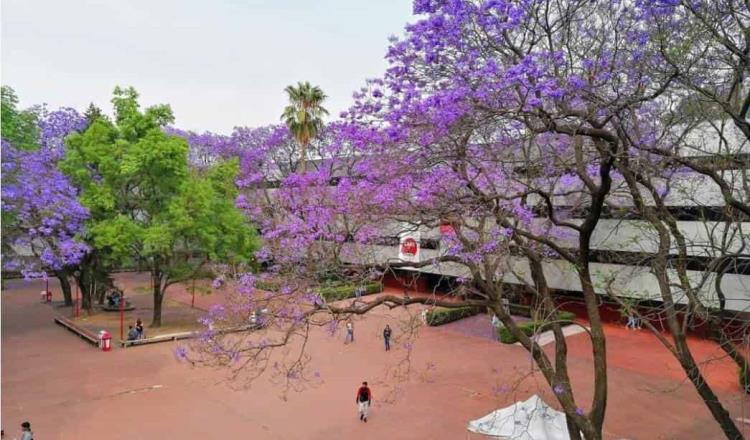 Dan nueve años de prisión a profesor universitario de la CDMX por abuso sexual