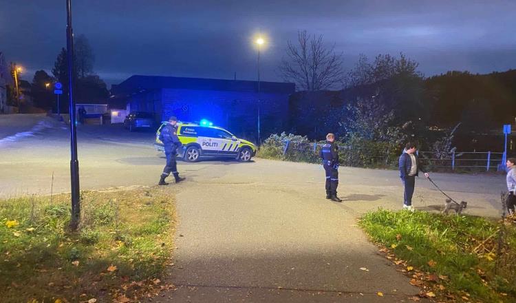 Sujeto con arco y flechas mata a varias personas en Kongsberg, Noruega