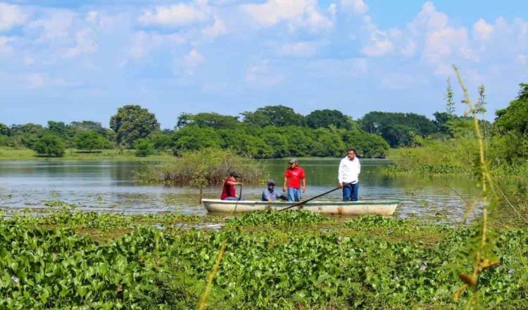 Reporta Ayuntamiento de Balancán muerte de manatí en laguna “Leona Vicario”
