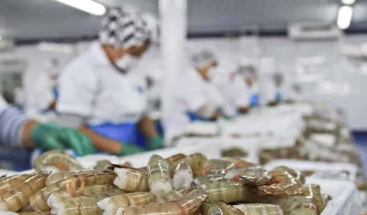 Recupera México certificación para exportar camarón a EE. UU.