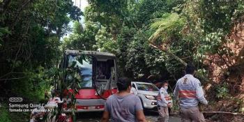 Fallece persona en la Pichucalco-Teapa, tras caer un árbol sobre autobús de pasajeros